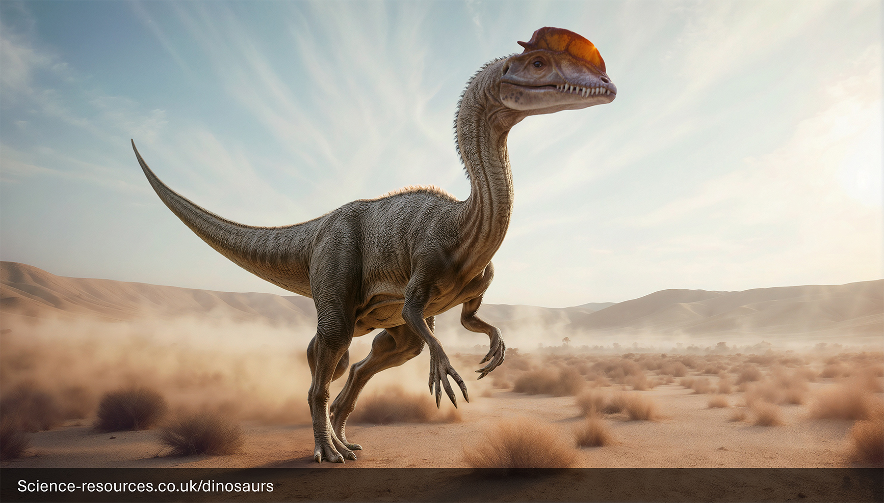 A 2024 / 2025 modern realistic rendering of a Dilophosaurus in a forest setting. The dinosaur is shown mid-roar, with its mouth open wide, exposing its sharp teeth. It’s surrounded by tall trees and the ground is covered with grass and ferns. Sunlight filters through the trees, casting an ethereal glow on the scene.