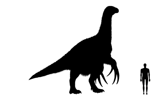 Quetzalcoatlus size compared to a human adult.