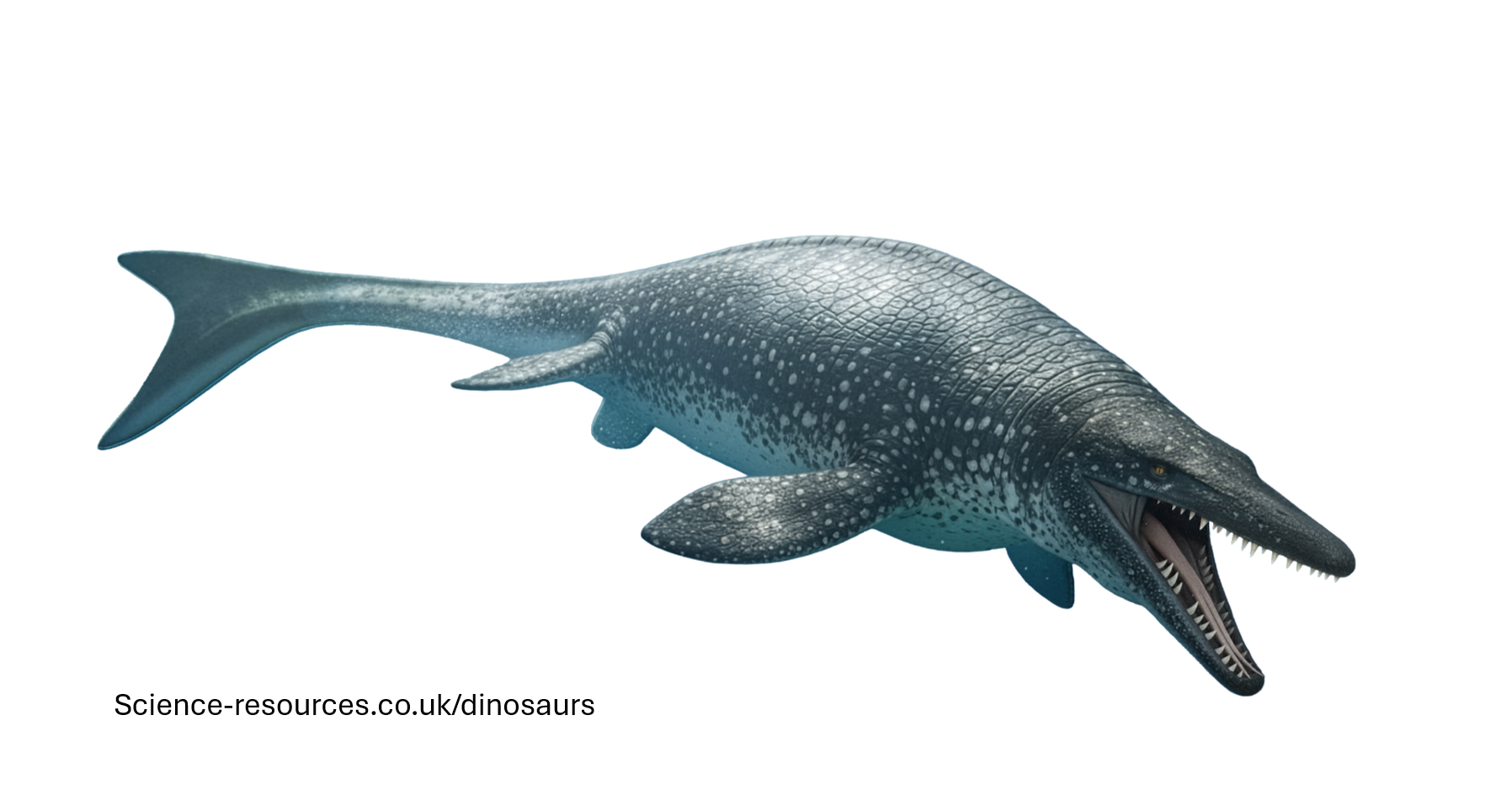An realistic depiction of a feathered Mosasaurus dinosaur.