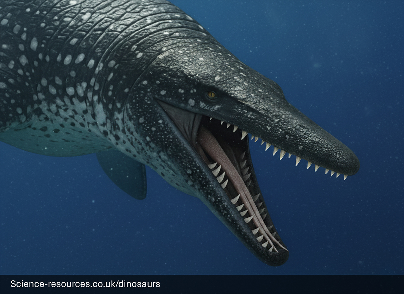 Image of a Mosasaurus with a forked tongue.